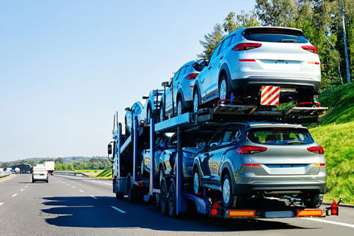 Imagem Transporte cegonha Transveiculos São Cristovão